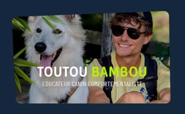 TouTou Bambou - Agence digitale Okatou