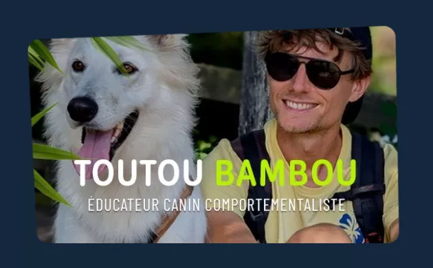TouTou Bambou - Agence web Okatou